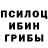 Псилоцибиновые грибы GOLDEN TEACHER J Boudreaux