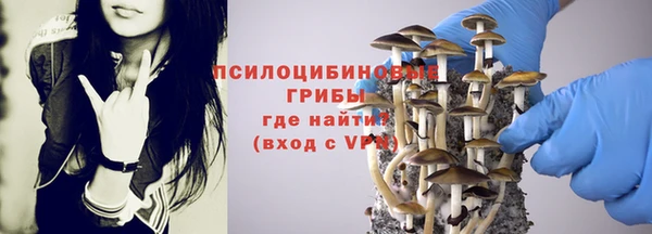 Альфа ПВП Балахна