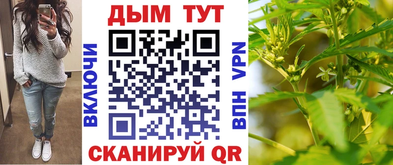 ОМГ ОМГ ССЫЛКА Кувшиново Бошки Шишки Amnesia